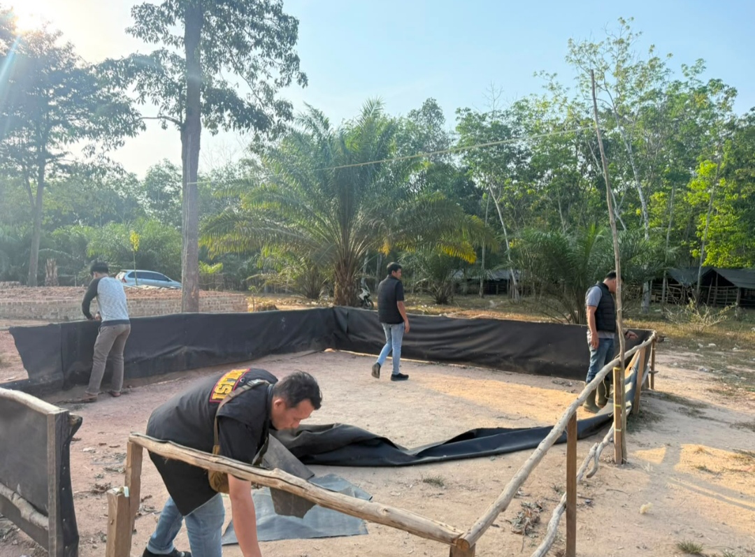 Arena Sabung Ayam di Desa Kayu Labu OKI Dibongkar Polisi