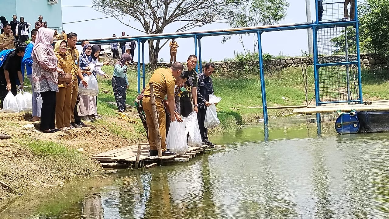 Dinas Perikanan Ogan Ilir Restocking 1,2 Juta Bibit Ikan untuk Ditebar ke Sungai-Sungai, Terbesar di Indonesia