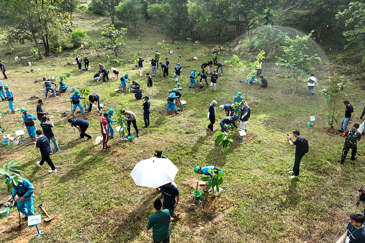 Bukit Asam Hijaukan Bekas Tambang, Ribuan Pohon Ditanam untuk Pulihkan Ekosistem