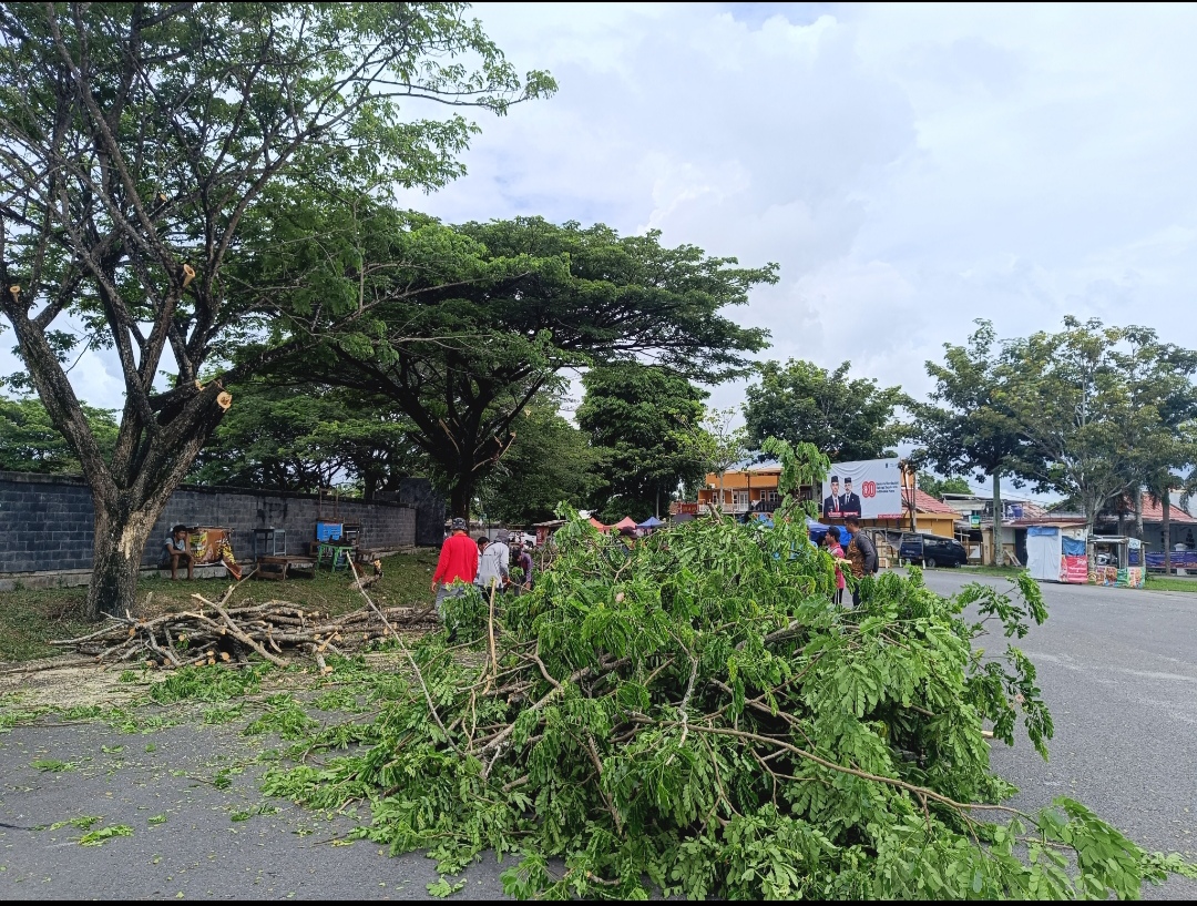 Jelang HUT Kabupaten OKI, Pohon Besar di Taman Segitiga Emas Kayuagung Dipangkas