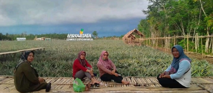 Agrowisata Nanas di Prabumulih Ramai Diserbu Pengunjung, Cek Lokasinya 
