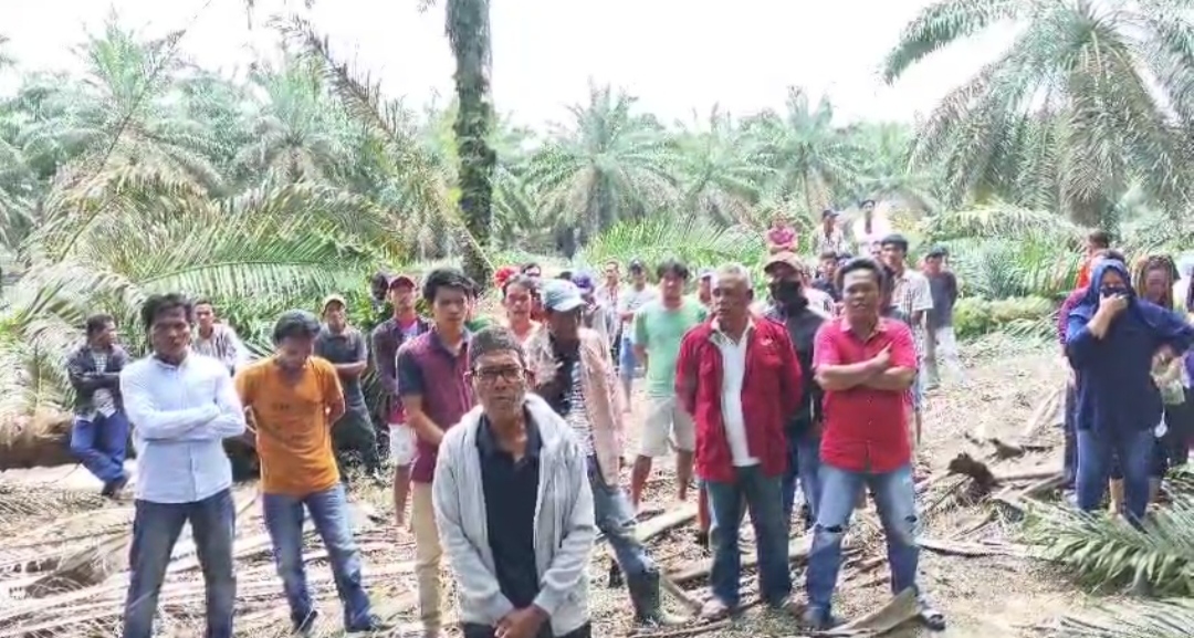 Warga Desa Sungai Sodong Mesuji OKI Sampaikan Orasi Minta Perusahaan Hentikan Replanting  