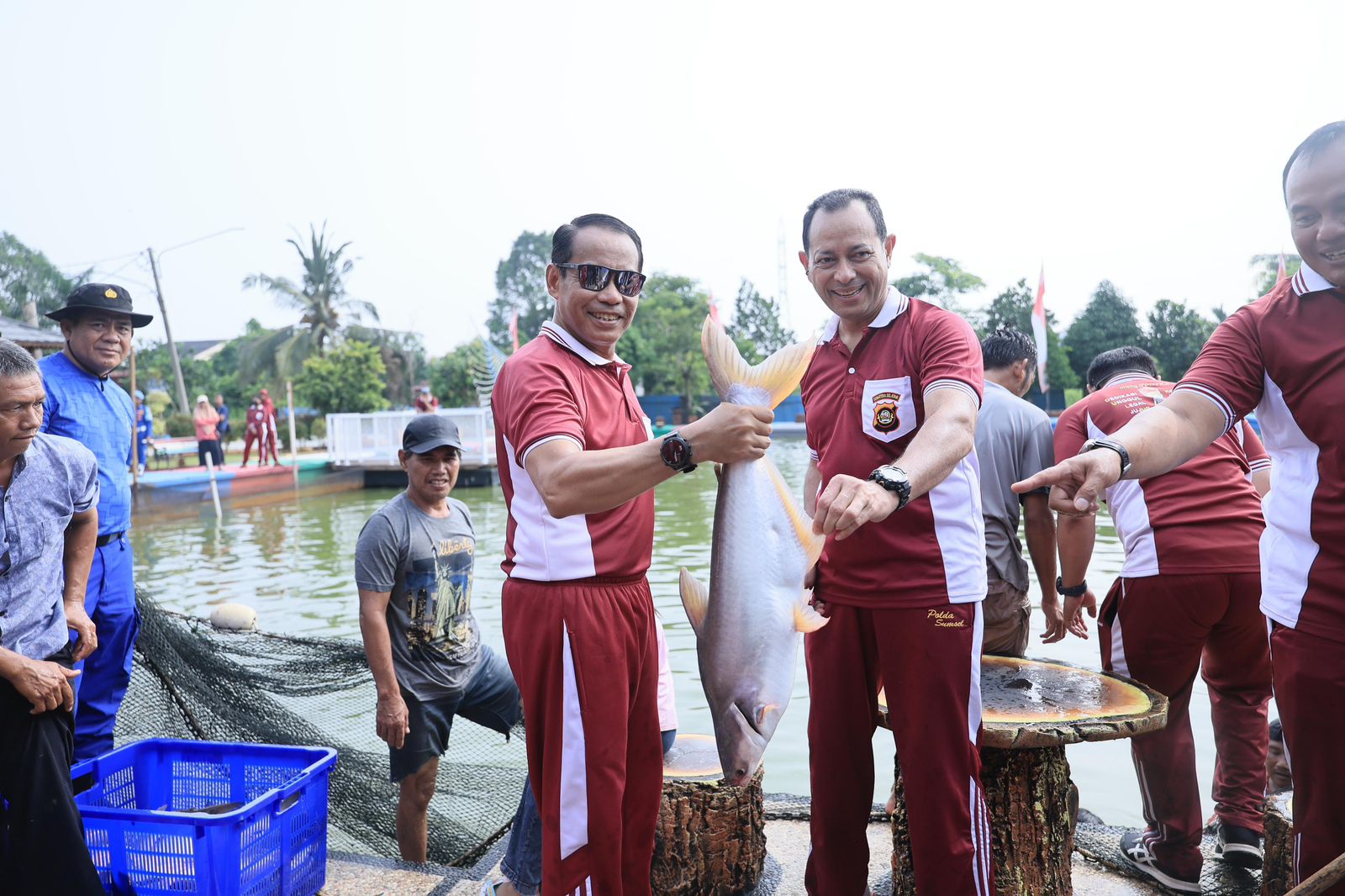 Dukung Misi Asta Cita, Usai Panen Raya Polda Sumsel Tebar Bibit 50.000 Ekor Bibit Ikan di Kolam Pakri