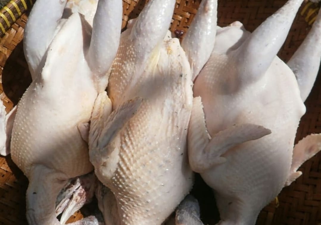 Ini 4 Jenis Daging yang Wajib Dikonsumsi oleh Penderita Diabetes untuk Menurunkan Gula Darah