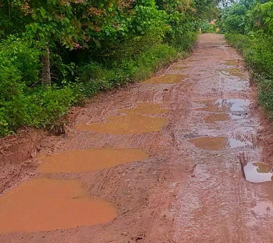 MIRIS! Jalan Becek sepanjang 3 KM di Rantau Bayur Banyuasin, Wara Pilih Opsi Lain