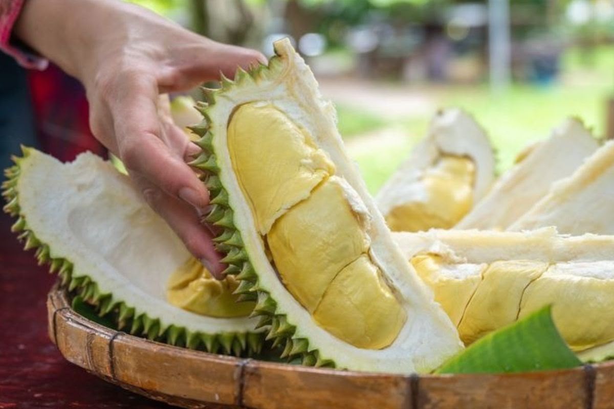 Jangan Salah Pilih, Begini Cara Memilih Durian yang Matang dan Manis 