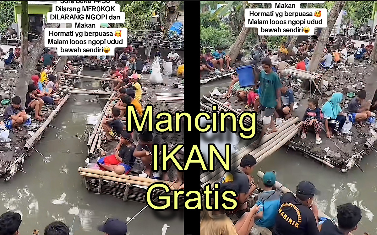 Unik, Mancing Gratis di Jombang, Netizen Heran Bagaimana Konsepnya, Banyak Pemancing dari Ikan? 