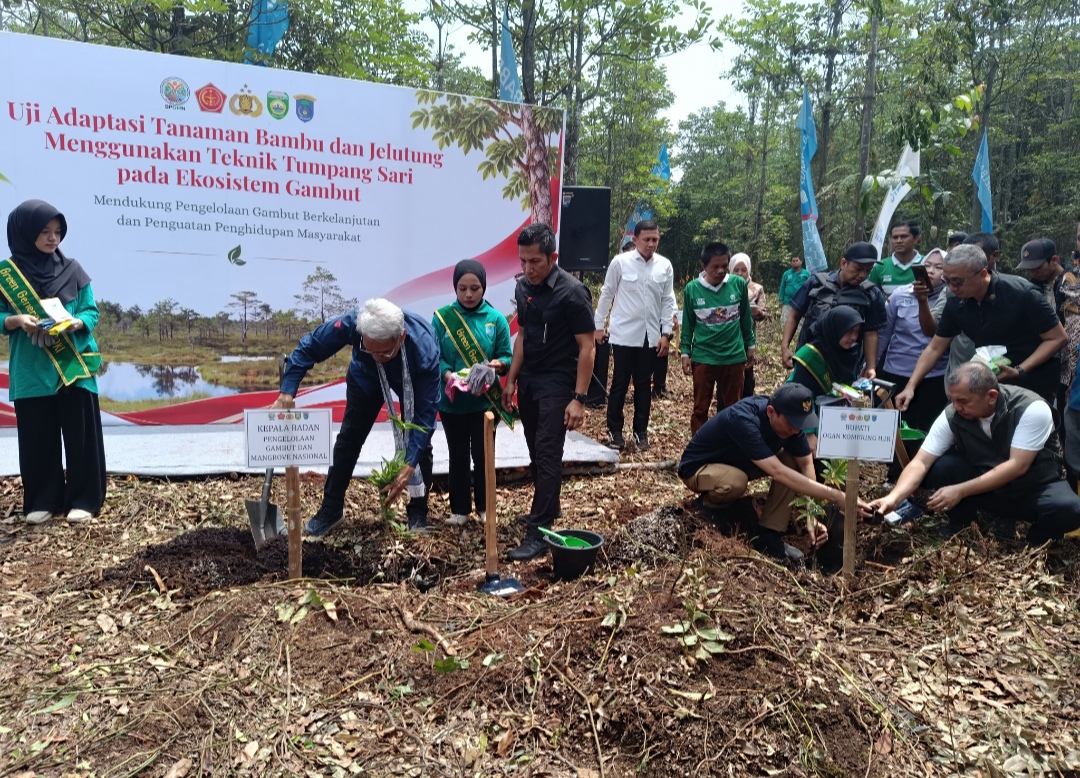 Tanaman Bambu dan Jelutung Ditanam BPGMN di Bonn Chalenge Kayuagung