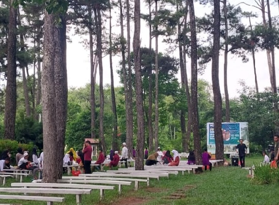 Lokasi Ditengah Kota Palembang, Tempat Wisata Ini Tawarkan Udara Sejuk dan Hutan Pinus Nan Asri