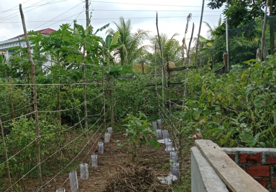 Polsek Muara Kuang Cek Perkembangan Lahan Desa Percontohan P2B di Desa Serikembang Ogan Ilir