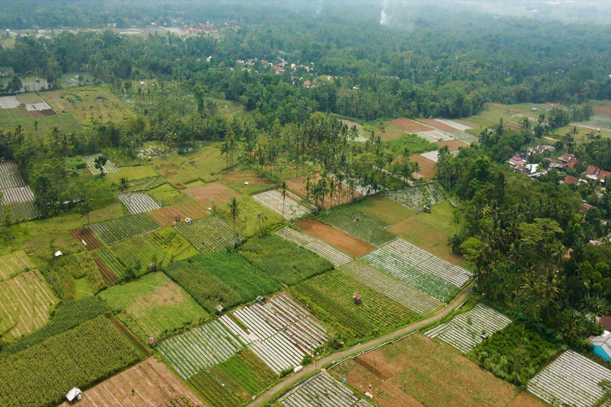 Menteri Koperasi dan UKM Apresiasi Desa BRILiaN Jadi Terobosan Pengembangan Potensi Desa