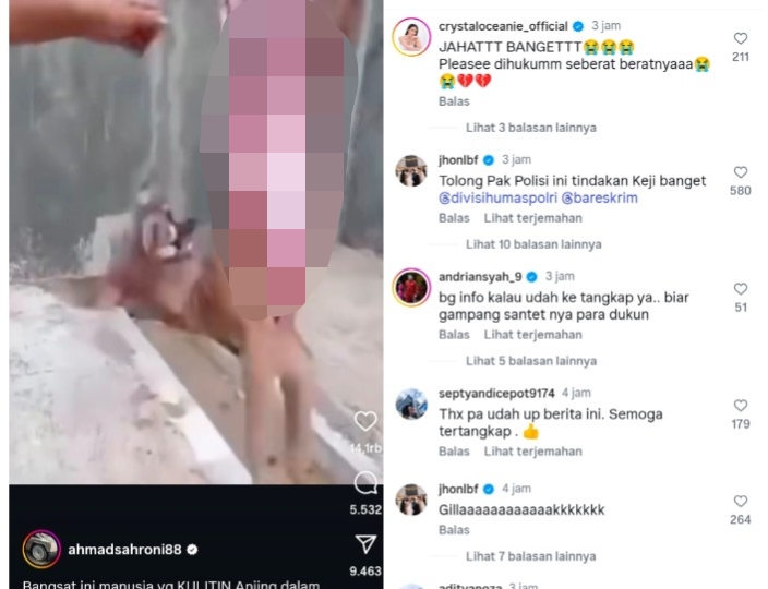 Viral! Video Anjing Dikuliti Hidup-Hidup di Sragen, Ahmad Sahroni Murka