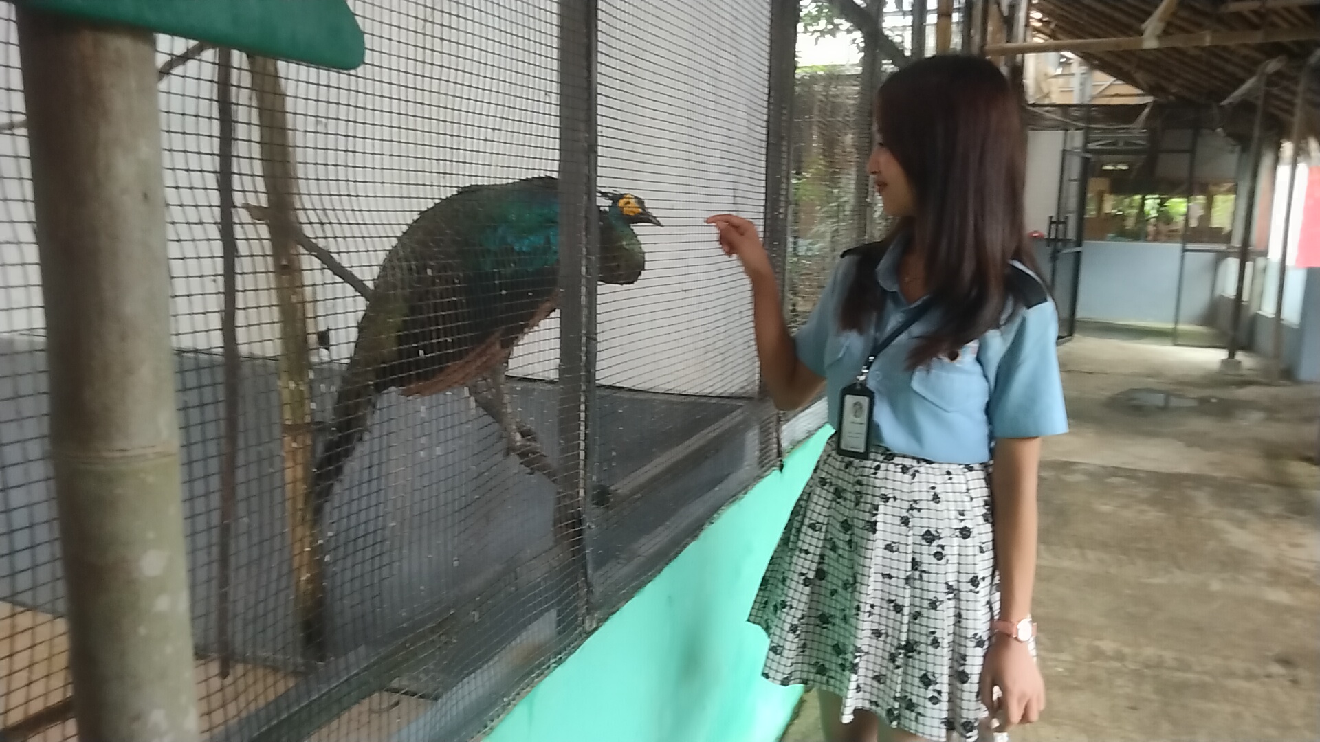 Libur Akhir Tahun Pengunjung Meningkat 10 Persen, Sensasi Swafoto Berbagai Jenis Hewan di Palembang Bird Park 