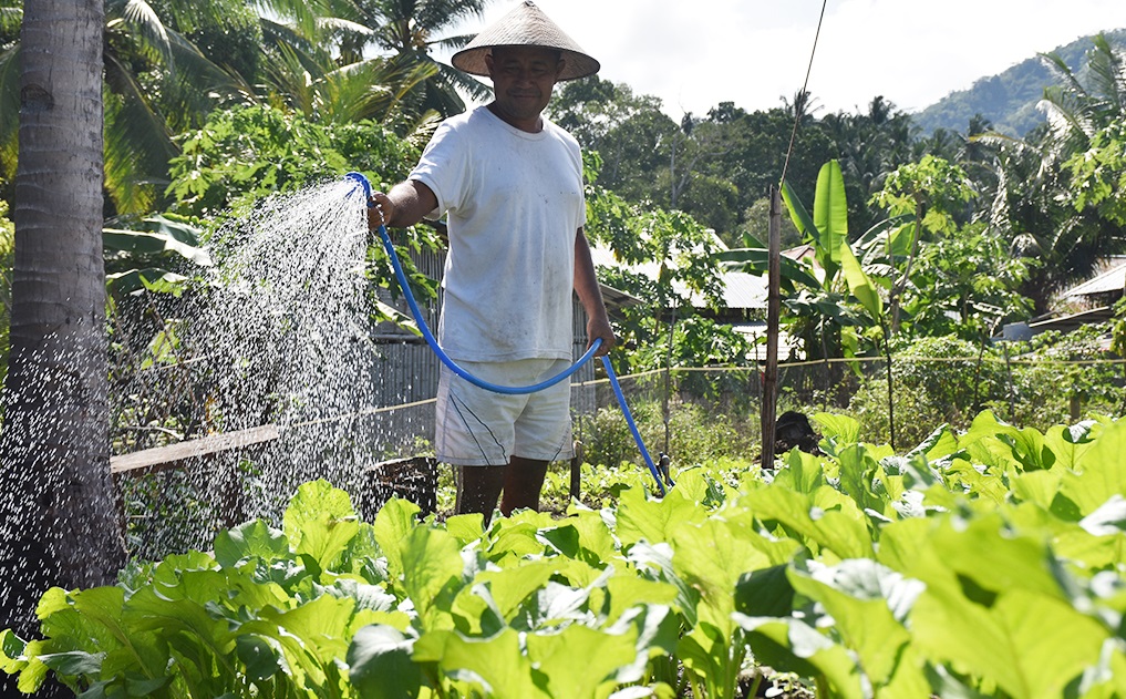 Tips Menyiram Tanaman yang Tepat Agar Tumbuh Subur, Hindari Kesalahan Berikut Ini 