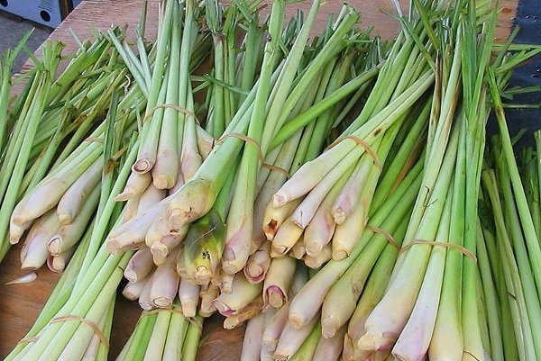 Cocok Dikonsumsi Usai Lebaran, Simak Resep Minuman Penurun Kolesterol Tinggi