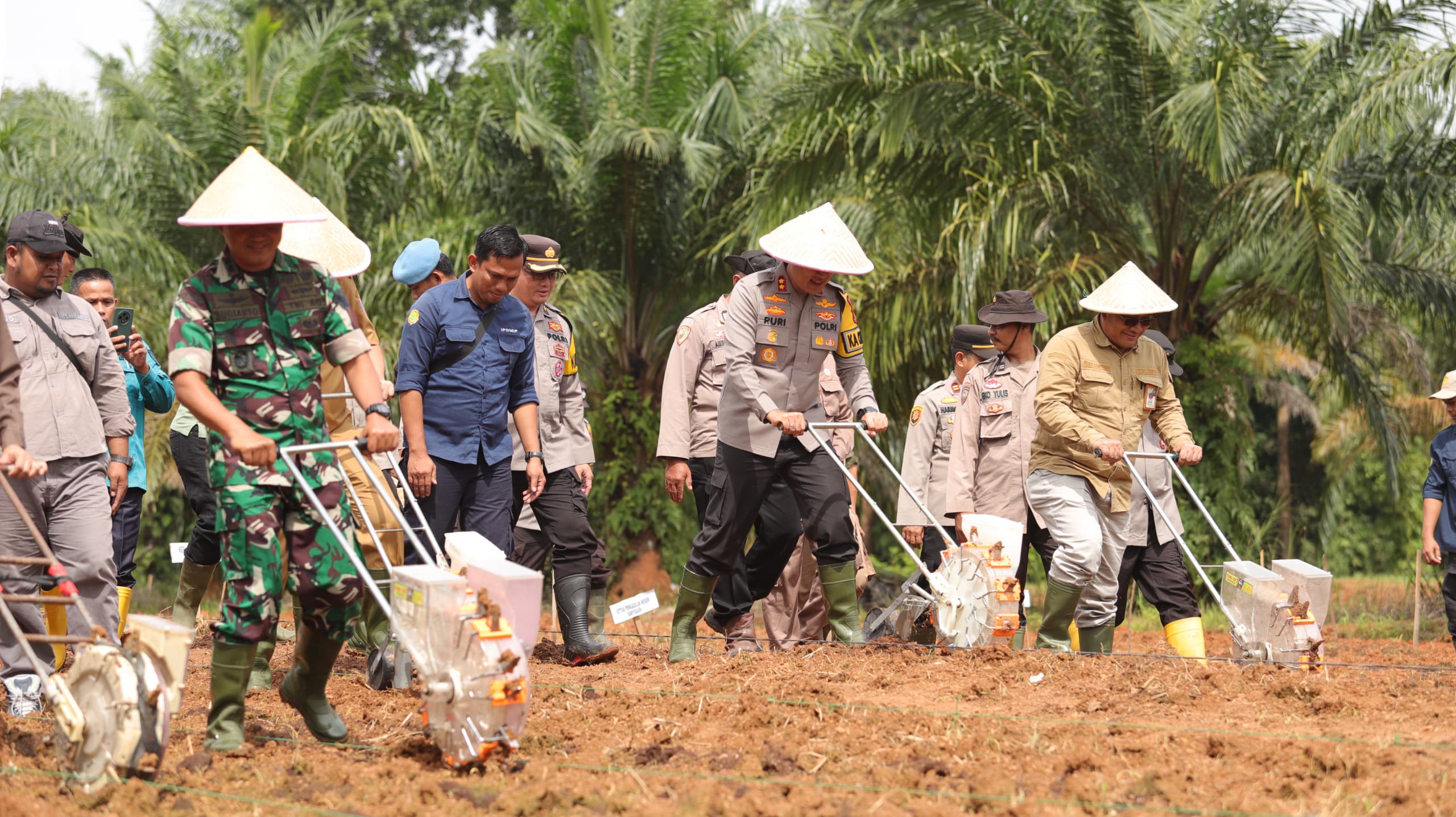  Hidupkan Kembali Lahan Tidur, Ratusan Hektare Lahan di Bumi Sedulang Setudung Akan Ditanami Jagung