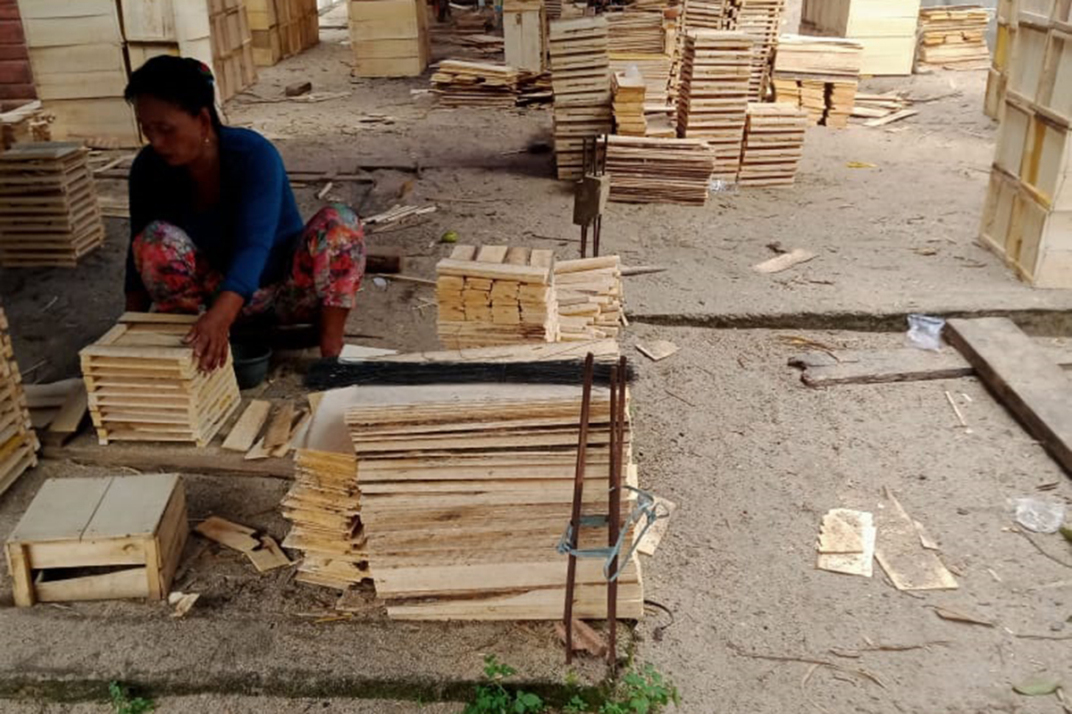 Emak-Emak Desa Tanjung Serang Manfaatkan Musim Panen Duku, Buat Kotak untuk Pasar Luar Daerah
