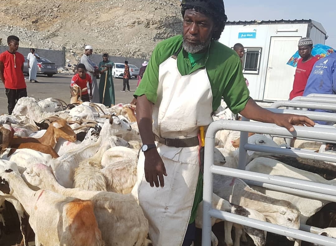 Banyak Dipertanyakan, MUI Pastikan Dam Haji Harus di Tanah Haram