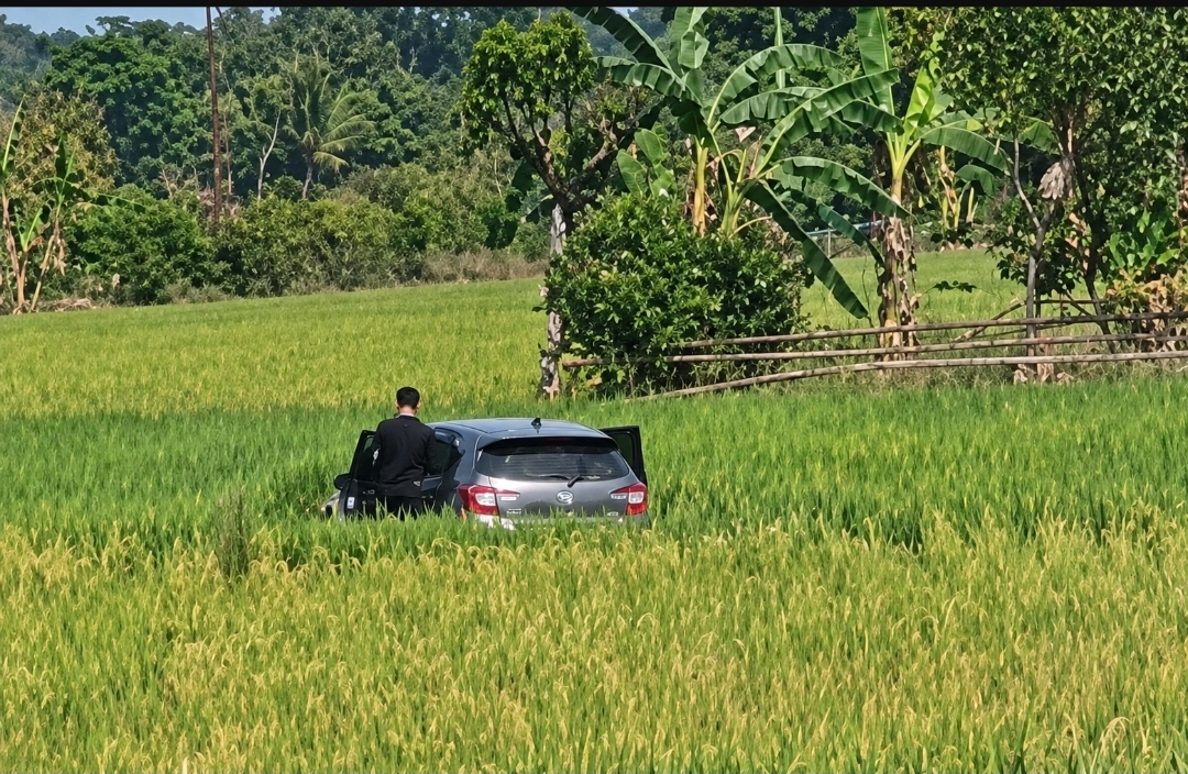 Bak Adegan Film! Kejar-kejaran Polisi dan Terduga Pengedar Narkotika Berakhir di Persawahan OKU Timur