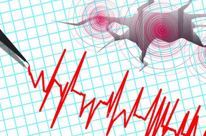 Mentawai Kembali Diguncang Gempa, ini Kekuatannya