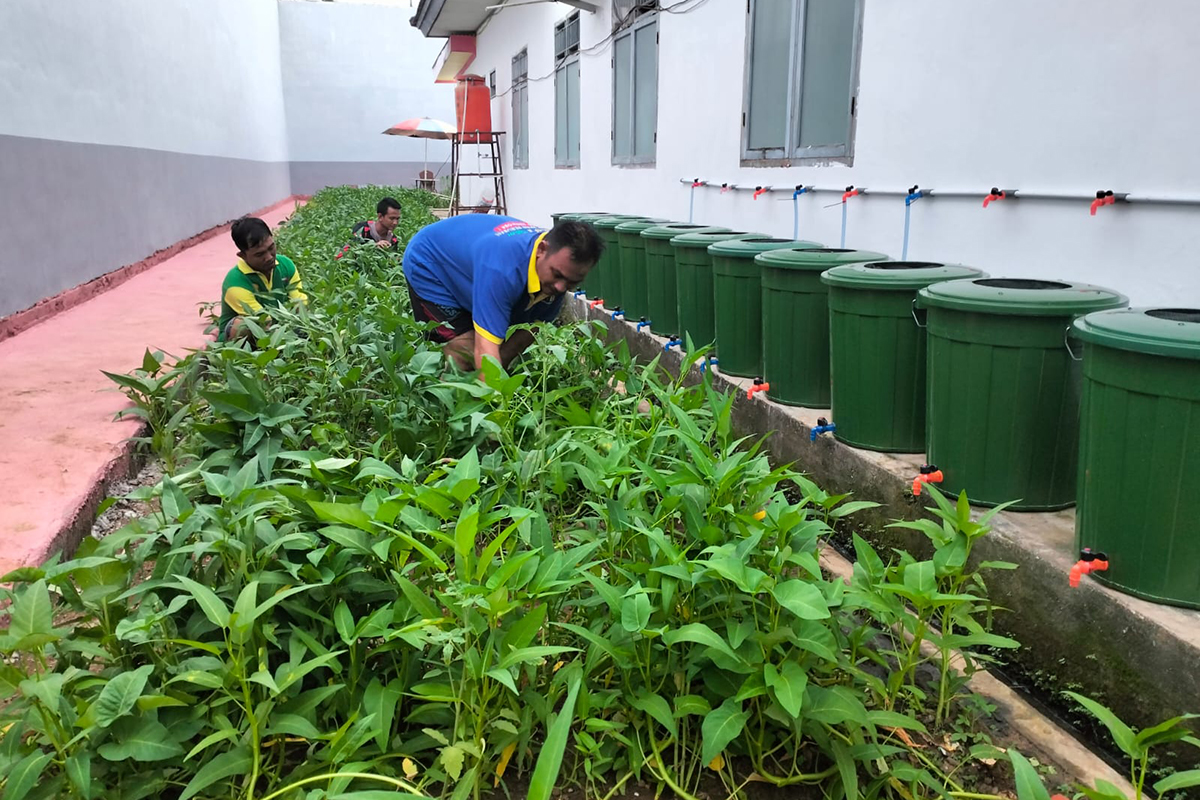 Lapas Narkotika Kelas IIA Muara Beliti Optimalkan Area Brandgang untuk Program Kemandirian Warga Binaan