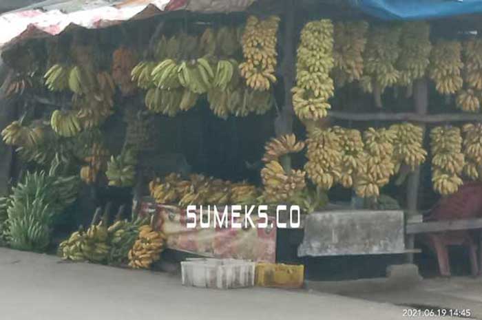 8 Manfaat Pisang, Nomor 4 Bikin Pria Greng