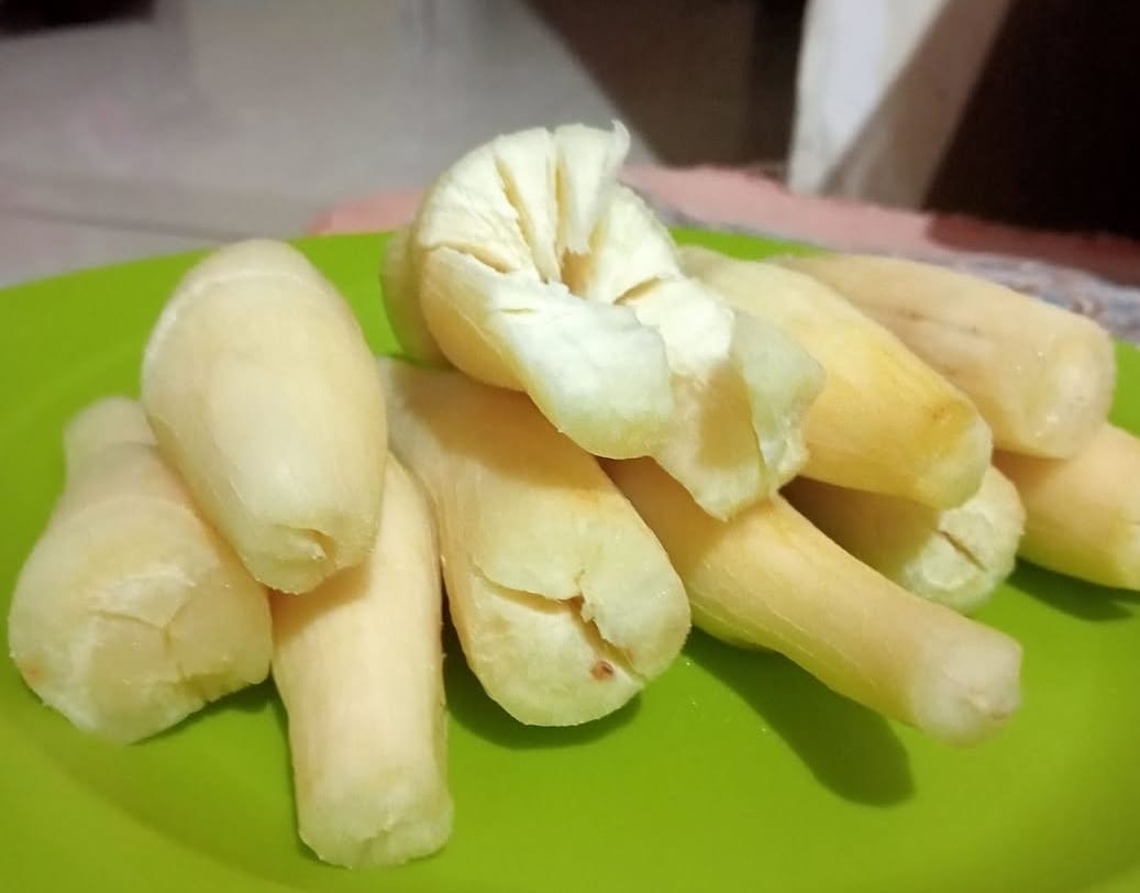 DIBONGKAR, Ternyata Ini Rahasia 5 Camilan Murah Kaya Nutrisi Buat Lansia Tetap Kuat, Sehat dan Awet Muda