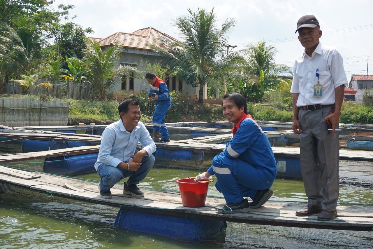 Dukung Kemandirian Pakan Lokal, PT Pertamina EP Prabumulih Field Resmikan Program Tanjung Bulan Bersinar