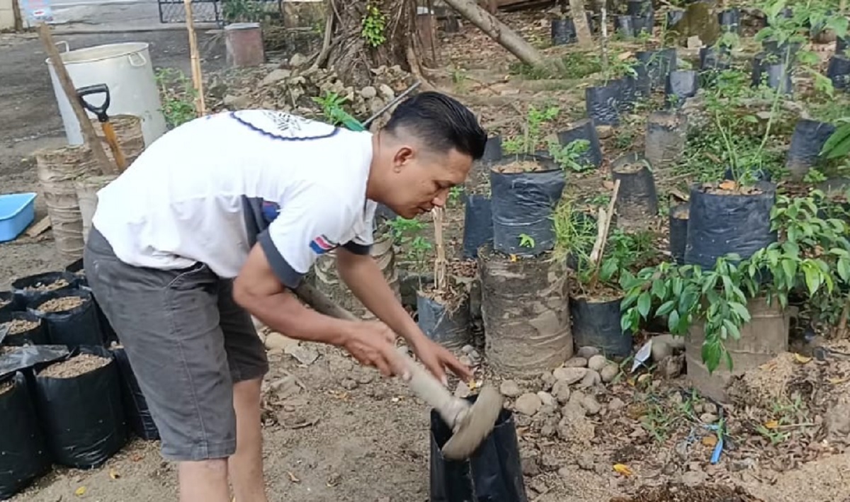 Inovasi Rumah PASTI, Kemandirian Pangan Warga Lahat Ubah Lahan Terlantar Jadi Sumber Rezeki