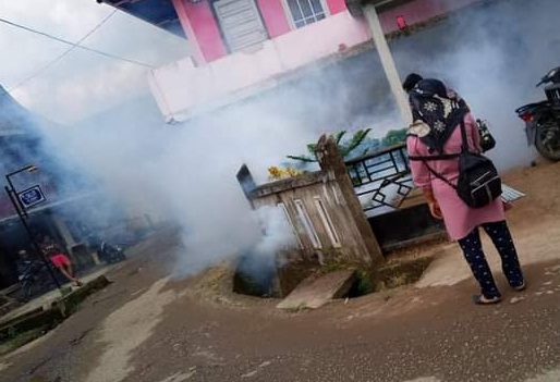 73 Warga Muratara Terjangkit Demam Berdarah Dengue