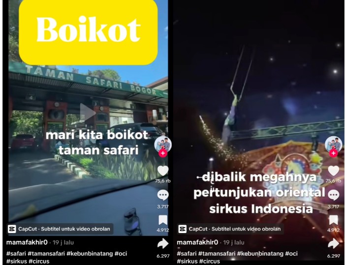 Geger Taman Safari Dituding Lakukan Perbudakan Anak Sirkus, Netizen Serukan Boikot Besar-Besaran!