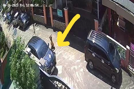Detik-Detik Aksi Pecah Kaca Mobil Saat Salat Jumat Terekam CCTV, Viral di Medsos