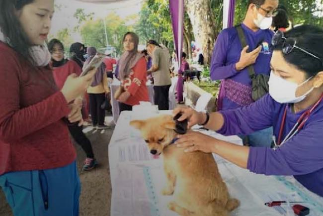 Kejar Target Palembang Bebas Rabies 2024, Petugas Jemput Bola Jika Ada Pemilik 10 Hewan di Lokasi yang Sama 