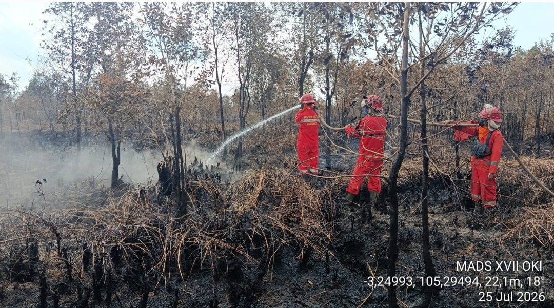 2 Hektar Lahan Gambut di Desa Petaling Kecamatan Tulung Selapan OKI Terbakar