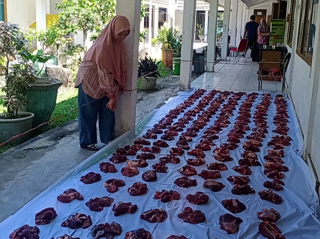 Ini Langkah yang Perlu Diketahui agar Daging Kurban tetap Awet Disimpan dalam Freezer