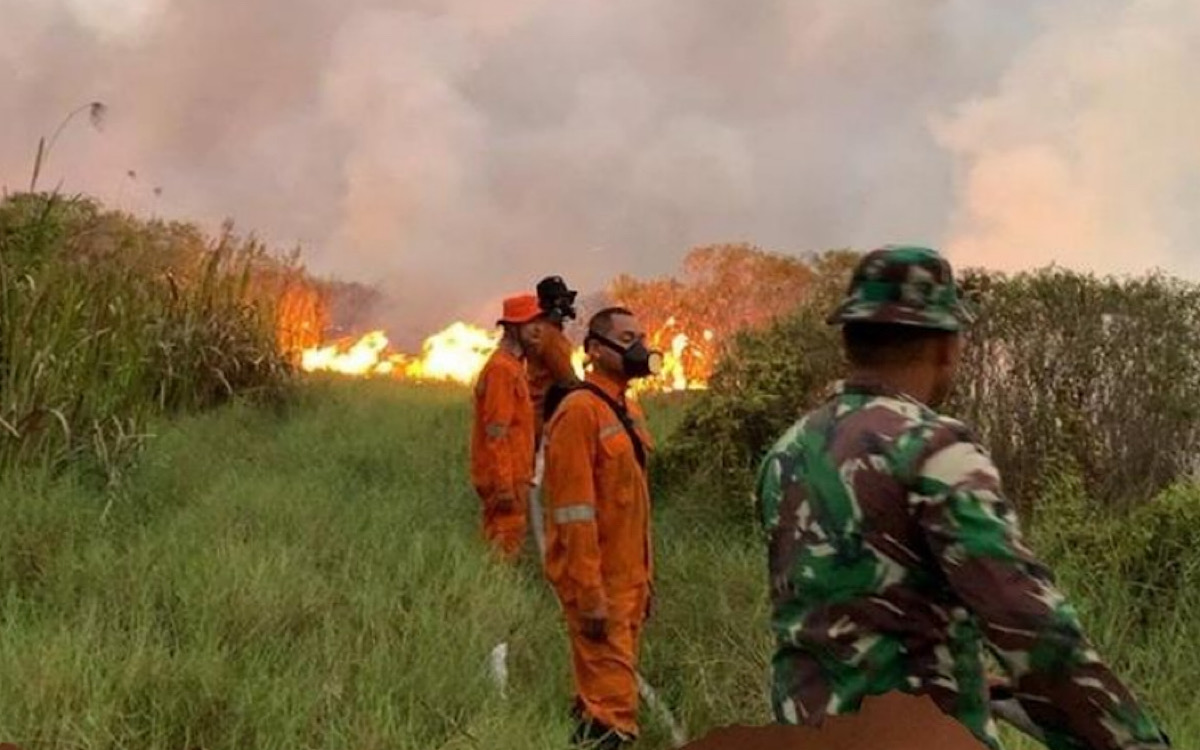 Ini Data 11 Lokasi Lahan Perusahaan dan Warga Terbakar di Wilayah Kabupaten OKI Disegel Dirjen Gakkum KLHK 