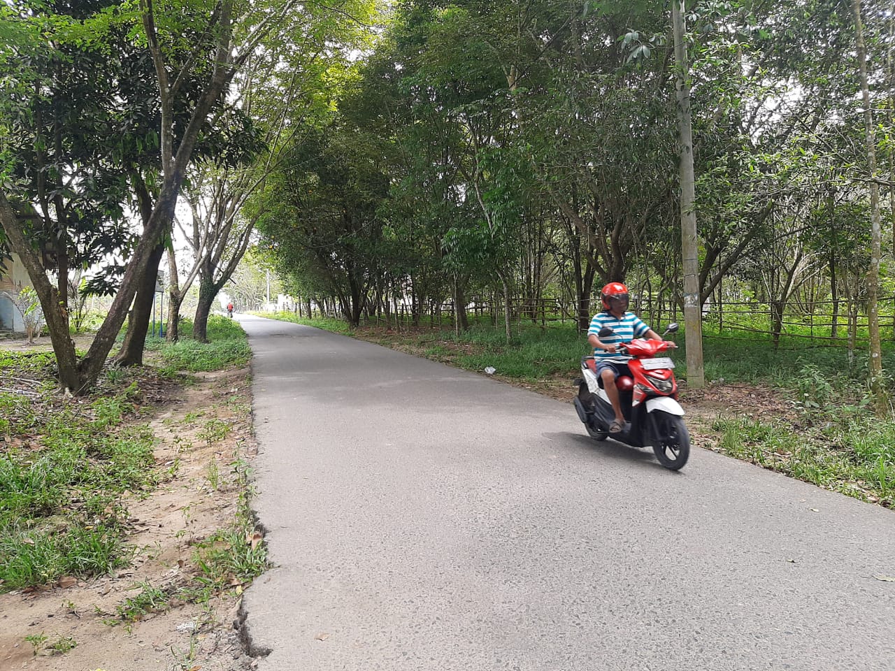 Blokir Jalan Dibuka, Warga Leluasa Lintasi Hutan Kota Kayuagung