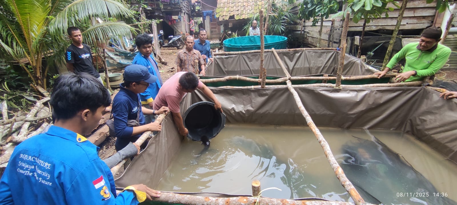 Merintis Usaha Pembenihan Ikan di Lahan Gambut, Desa Perigi Pangkalan Lampam Ogan Komering Ilir
