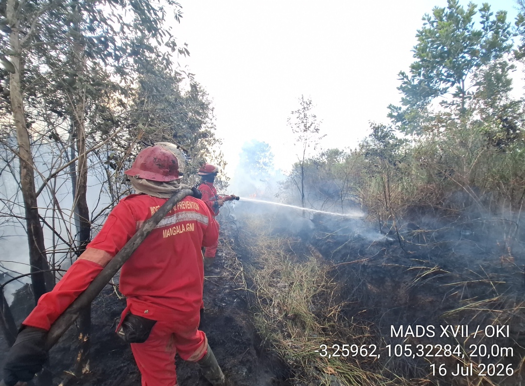 8 Hektar Lahan Gambut di Tulung Selapan Ilir Terbakar, Dibutuhkan Pemadaman Lanjutan
