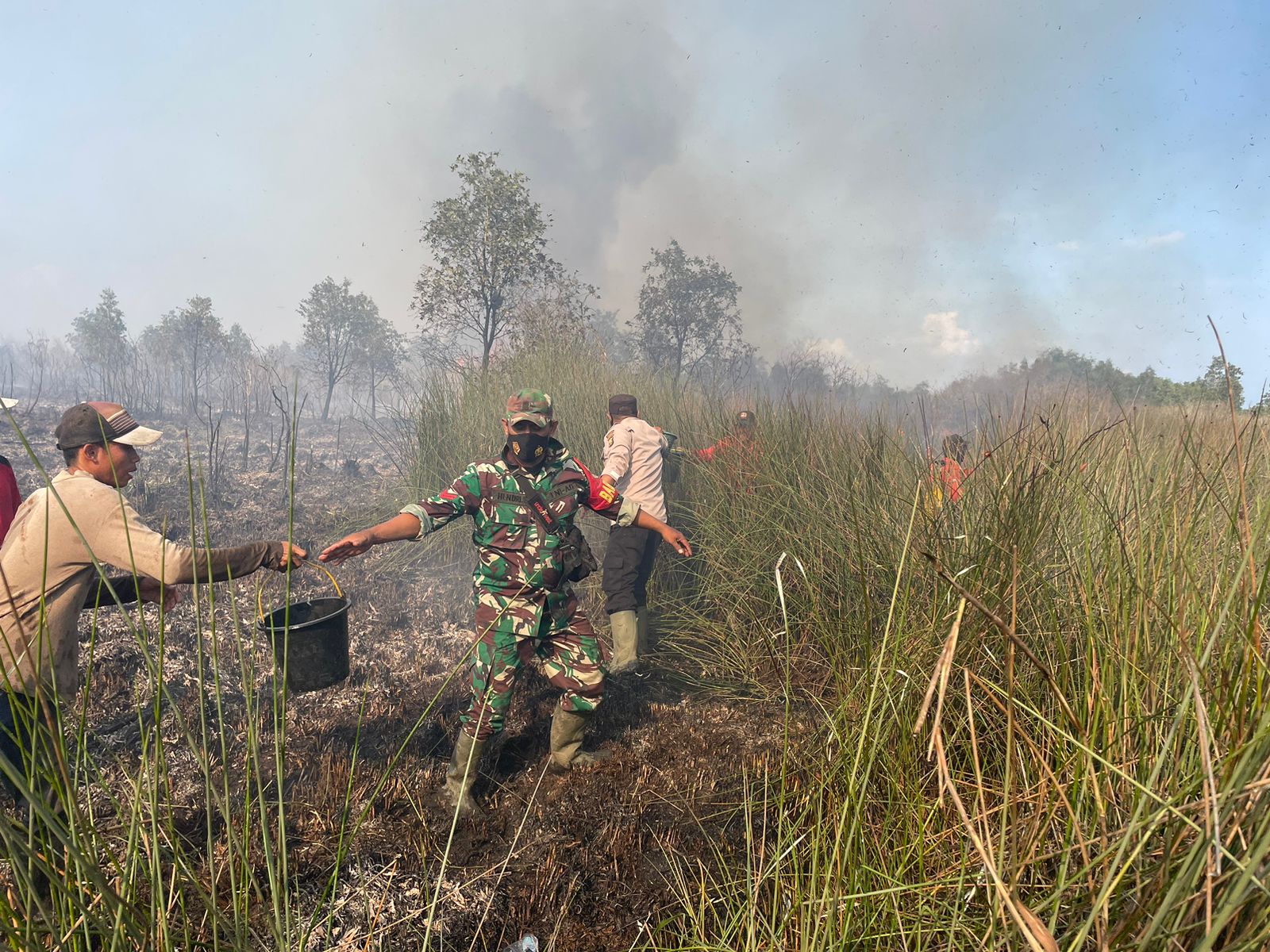2 Hektar Lahan Gambut di Cengal Terbakar, Pemadaman Terkendala Medan dan Sumber Air