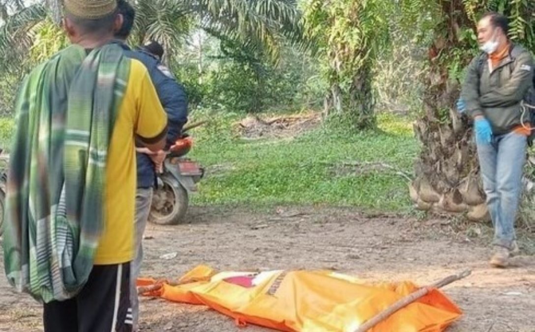 2 Pekan Tak Ada Kabar, Seorang Wanita di Batanghari Jambi Ditemukan Terkubur di Kebun Sawit, Suami Menghilang