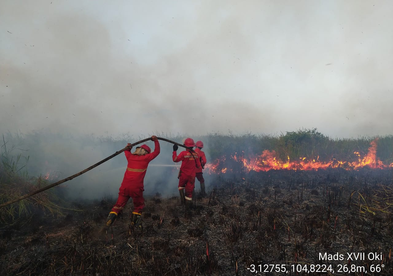 Petugas Manggala Agni Padamkan Api yang Hanguskan Hektaran Lahan di Jejawi OKI 