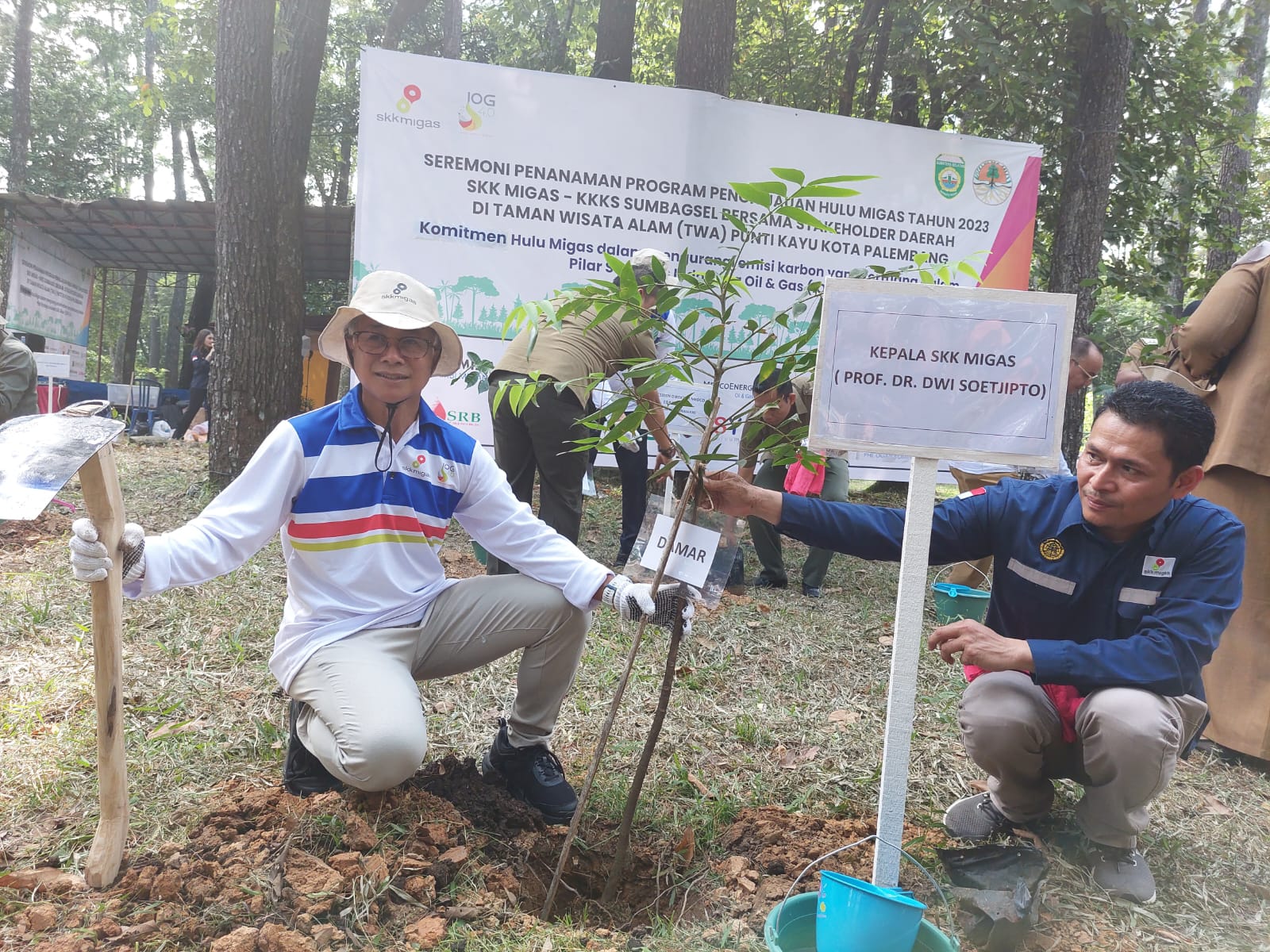 SKK Migas Tanam 5337 Bibit Pohon di Punti Kayu Palembang, demi Jaga Komitmen Turunkan Emisi Karbon 