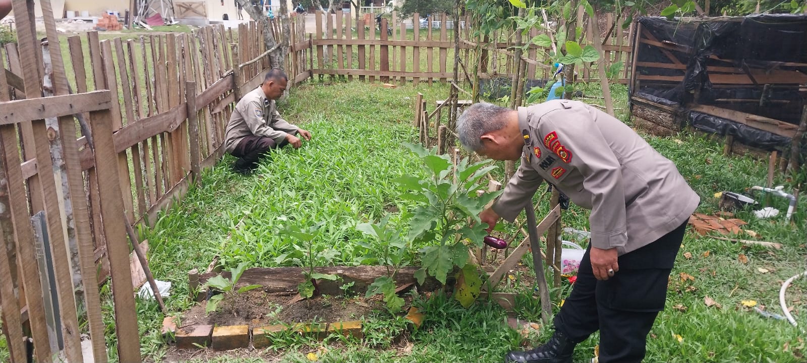 Polsek Tanjung Batu Dukung Ketahanan Pangan, Laksanakan Pengecekan Kebun Pekarangan Pangan Lestari