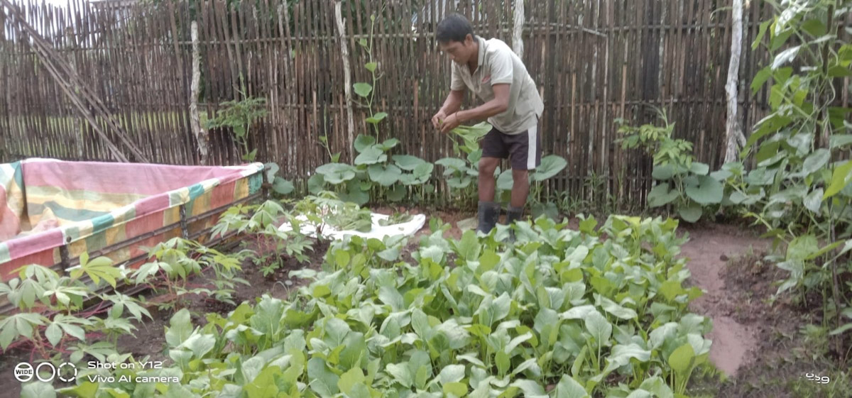 Hanya Tanam Kangkung dan Bayam Selama 15 Hari, Petani Rumahan di Ogan Ilir Bisa Raup Cuan Jutaan Rupiah