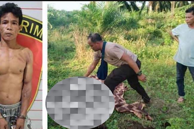 2 Penjaga Sawit Tak Selamat Diserang Brutal 4 Pencuri Tandan Sawit yang Kepergok Masuk Kebun Haji Tahang 