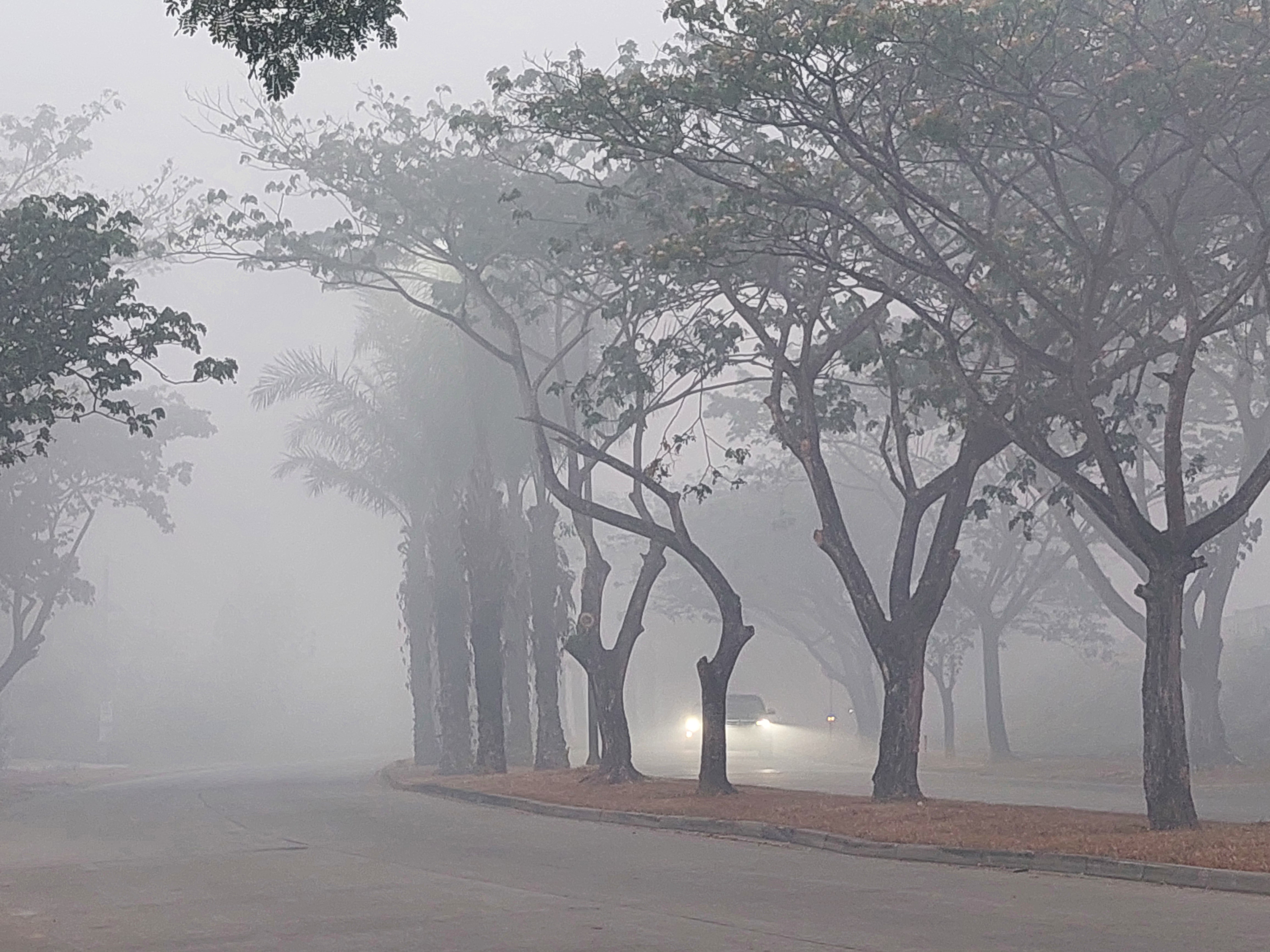 Kualitas Udara Palembang Masih Memburuk, Musi 2 dan Talang Betutu Masuk Kategori Berbahaya