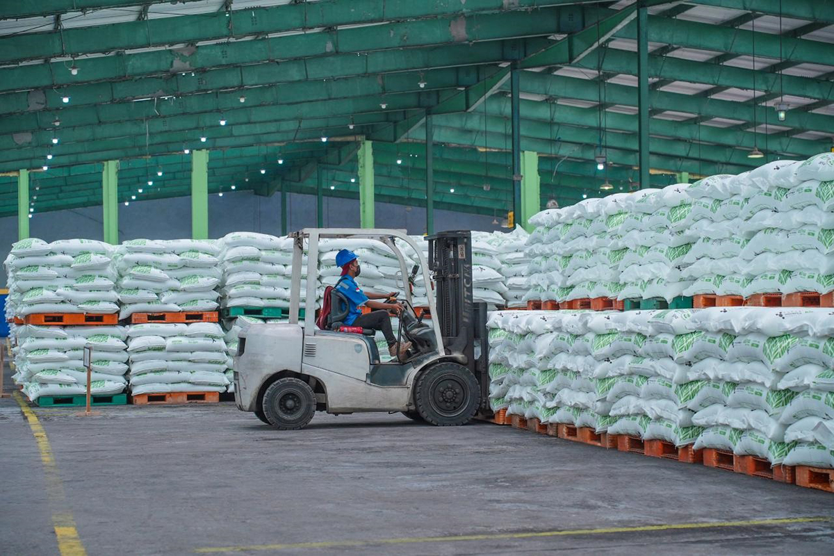 Petani Sumringah, Pusri Pastikan Stok Pupuk Aman Hingga Akhir Musim Tanam Pertama