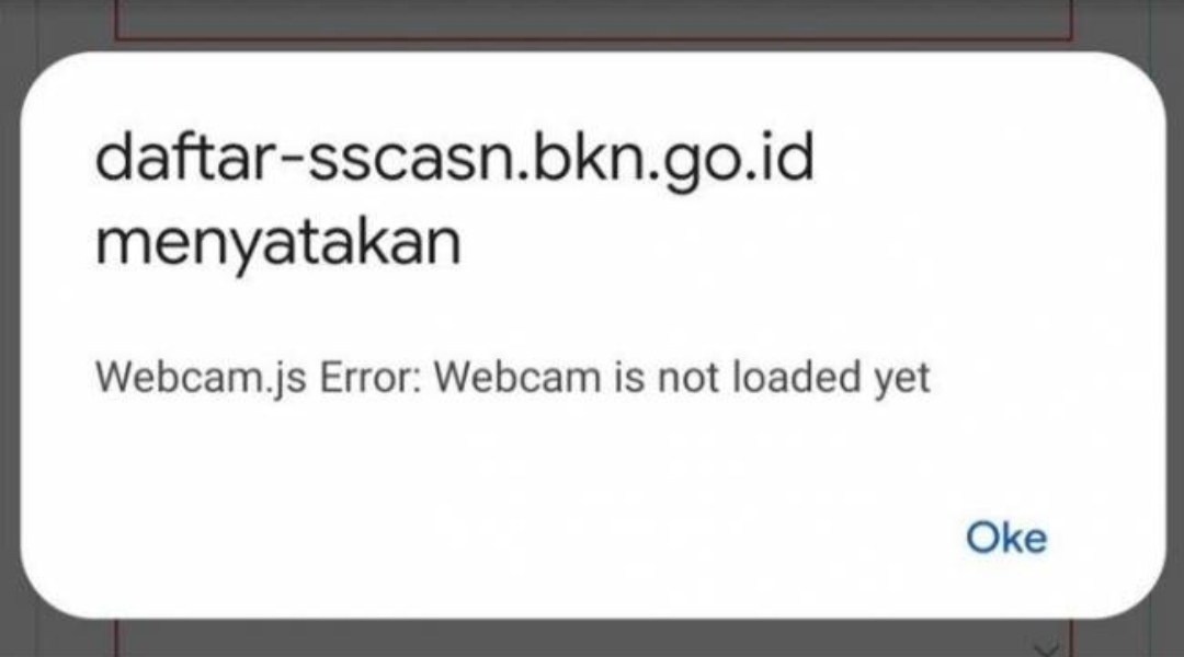 Website SSCASN Eror Menjelang Penutupan PPPK 2024, Honorer Panik, Apa Solusinya?