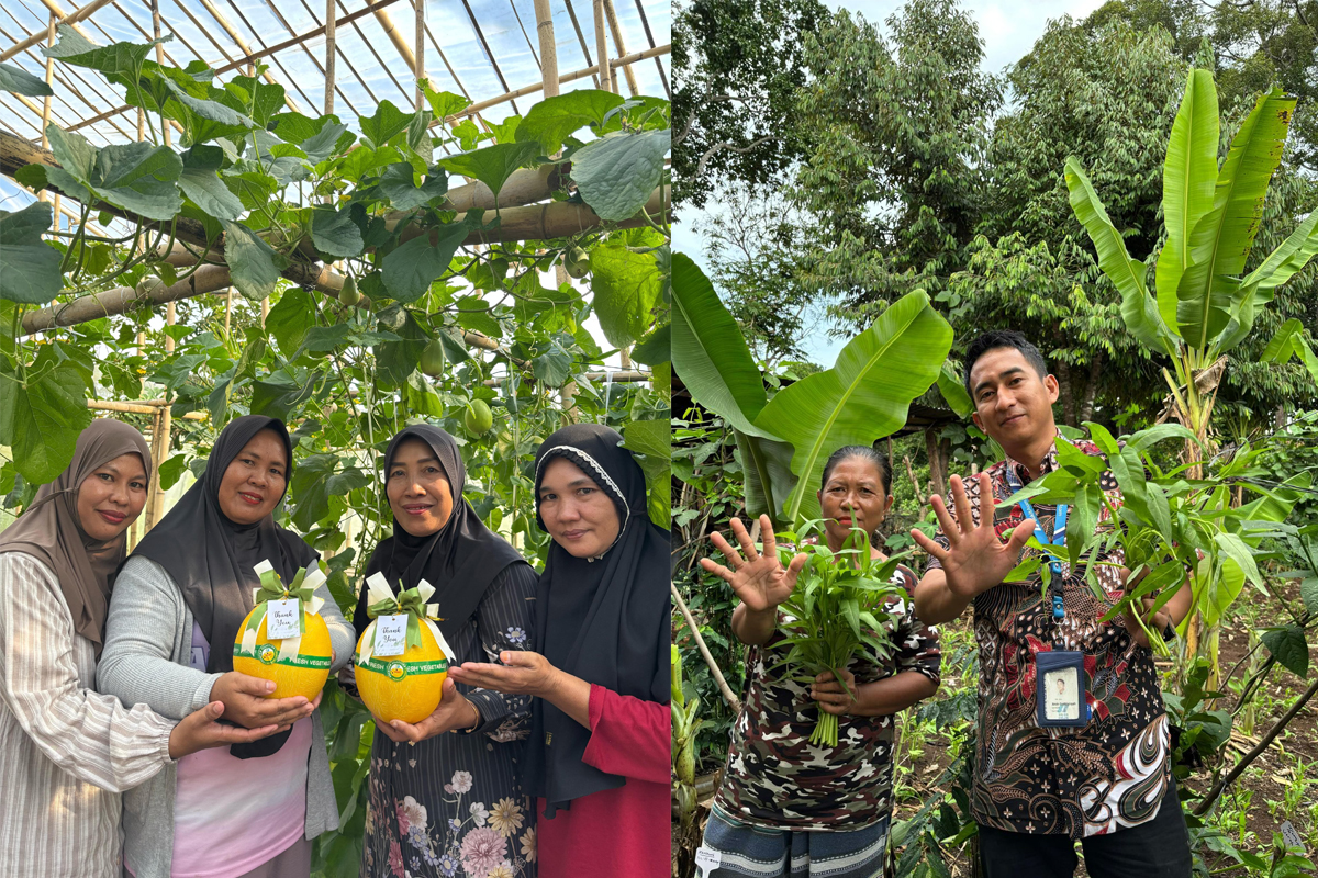 HBAP Raih Penghargaan Internasional Berkat Program Hijau Berbasis Agribisnis Pekarangan